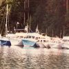 1982MayCruise